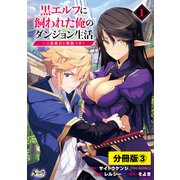 黒エルフに飼われた俺のダンジョン生活～三食風呂と地獄つき～【分冊版】（ノヴァコミックス） 3（一二三書房） [電子書籍]