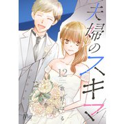 夫婦のスキマ 12（集英社） [電子書籍]