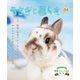 うさぎと暮らす No.84（うさぎと暮らす） [電子書籍]