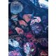スターライト・キッド 写真集 Changing Darkness（ブシロードワークス） [電子書籍]