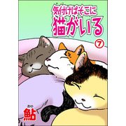 気付けばそこに猫がいる7（秋水社ORIGINAL） [電子書籍]