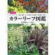 決定版 カラーリーフ図鑑 オールシーズン・日陰・酷暑・どんな場所でも活躍する宿根草・樹木（講談社） [電子書籍]