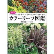 決定版 カラーリーフ図鑑 オールシーズン・日陰・酷暑・どんな場所でも活躍する宿根草・樹木（講談社） [電子書籍]