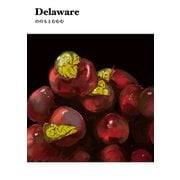 Delaware（ナンバーナイン） [電子書籍]