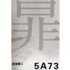 5A73（光文社） [電子書籍]