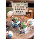 リメイク＆リユースでかわいく作る多肉植物の寄せ植え（主婦の友社） [電子書籍]