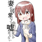 妻が可愛すぎて嘘としか思えない（1）（ナンバーナイン） [電子書籍]