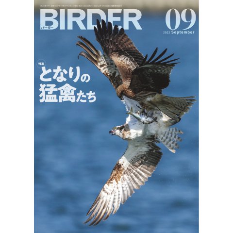 BIRDER（バーダー） 2022年9月号（文一総合出版） [電子書籍]