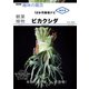 観葉植物 ビカクシダ（NHK出版） [電子書籍]