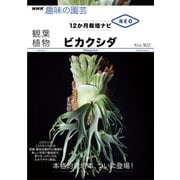 観葉植物 ビカクシダ（NHK出版） [電子書籍]