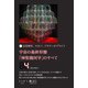 宇宙の最終形態「神聖幾何学」のすべて4（四の流れ）（ヒカルランド） [電子書籍]