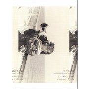 さらば、ベイルート（河出書房新社） [電子書籍]