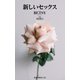 新しいセックス（扶桑社） [電子書籍]