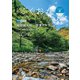 グラフふくおか 2021夏号（CLAP） [電子書籍]
