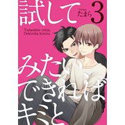 試してみたい、できればキミと3（光彩書房） [電子書籍]