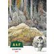A＆F COUNTRY総合カタログ 2016（エイアンドエフ） [電子書籍]