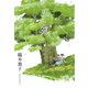 フーガ（東洋出版） [電子書籍]