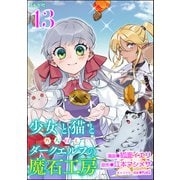 少女と猫とお人好しダークエルフの魔石工房 コミック版（分冊版） 【第13話】（ぶんか社） [電子書籍]