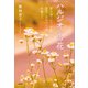 ハルジオンの花 寄り添って二十年 里子・コウヘイは今巣立つ（文芸社） [電子書籍]