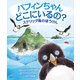 パフィンちゃん どこにいるの？ スケリッグ島のぼうけん（VOYAGER（ボイジャー）） [電子書籍]
