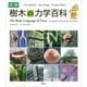図解 樹木の力学百科（講談社） [電子書籍]