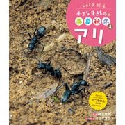 しゃしん絵本 小さな生きものの春夏秋冬 アリ（ポプラ社） [電子書籍]