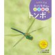 しゃしん絵本 小さな生きものの春夏秋冬 トンボ（ポプラ社） [電子書籍]