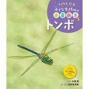 しゃしん絵本 小さな生きものの春夏秋冬 トンボ（ポプラ社） [電子書籍]