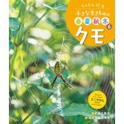 しゃしん絵本 小さな生きものの春夏秋冬 クモ（ポプラ社） [電子書籍]