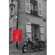 パリ季記 フランスでひとり＋1匹暮らし（扶桑社） [電子書籍]