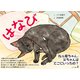 はなび（幻冬舎メディアコンサルティング） [電子書籍]