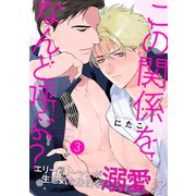 この関係をなんと呼ぶ？3（メディアソフト） [電子書籍]