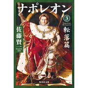 ナポレオン 3 転落篇（集英社） [電子書籍]