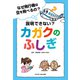 なぜ飛行機は空を飛べるの？ 説明できない？カガクのふしぎ（マイクロマガジン社） [電子書籍]