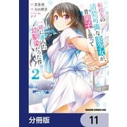転校先の清楚可憐な美少女が、昔男子と思って一緒に遊んだ幼馴染だった件【分冊版】 11（KADOKAWA） [電子書籍]
