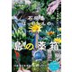 石垣島はっちゃんの【島の薬箱】（ヒカルランド） [電子書籍]