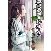 智恵子の半生（オリオンブックス） [電子書籍]