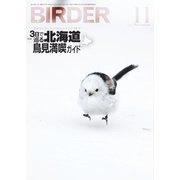 BIRDER（バーダー） 2022年11月号（文一総合出版） [電子書籍]