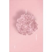 太陽諸島（講談社） [電子書籍]