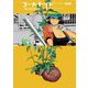 フールナイト 5（小学館） [電子書籍]