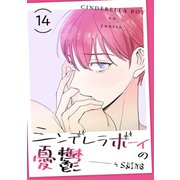 シンデレラボーイの憂鬱14（Rush！） [電子書籍]