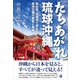 たちあがれ琉球沖縄（あおぞら書房） [電子書籍]