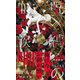 呪縛の血族【イラスト付】（大洋図書） [電子書籍]