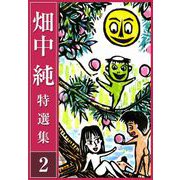 畑中 純 特選集 2（スマートゲート） [電子書籍]