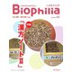 Biophilia 40号（2023年1月・3号）（アドスリー） [電子書籍]