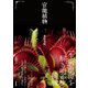 官能植物（NHK出版） [電子書籍]