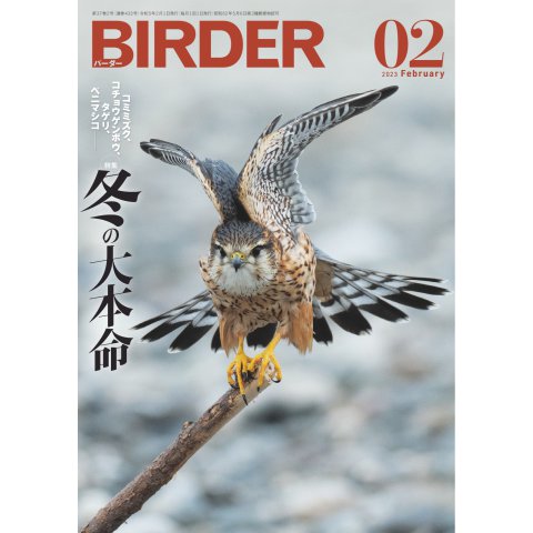 BIRDER（バーダー） 2023年2月号（文一総合出版） [電子書籍]