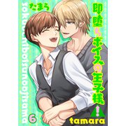 即堕ちボイスの王子様！6（光彩書房） [電子書籍]