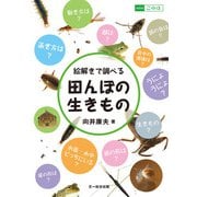 絵解きで調べる田んぼの生きもの（文一総合出版） [電子書籍]
