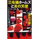 三毛猫ホームズと炎の天使（光文社） [電子書籍]